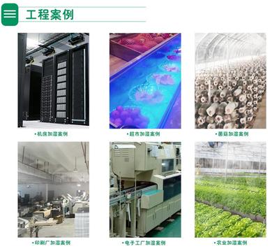 sulling松林菌菇四管气调库加湿器